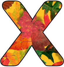 Herbstbuchstabe-5-X.jpg